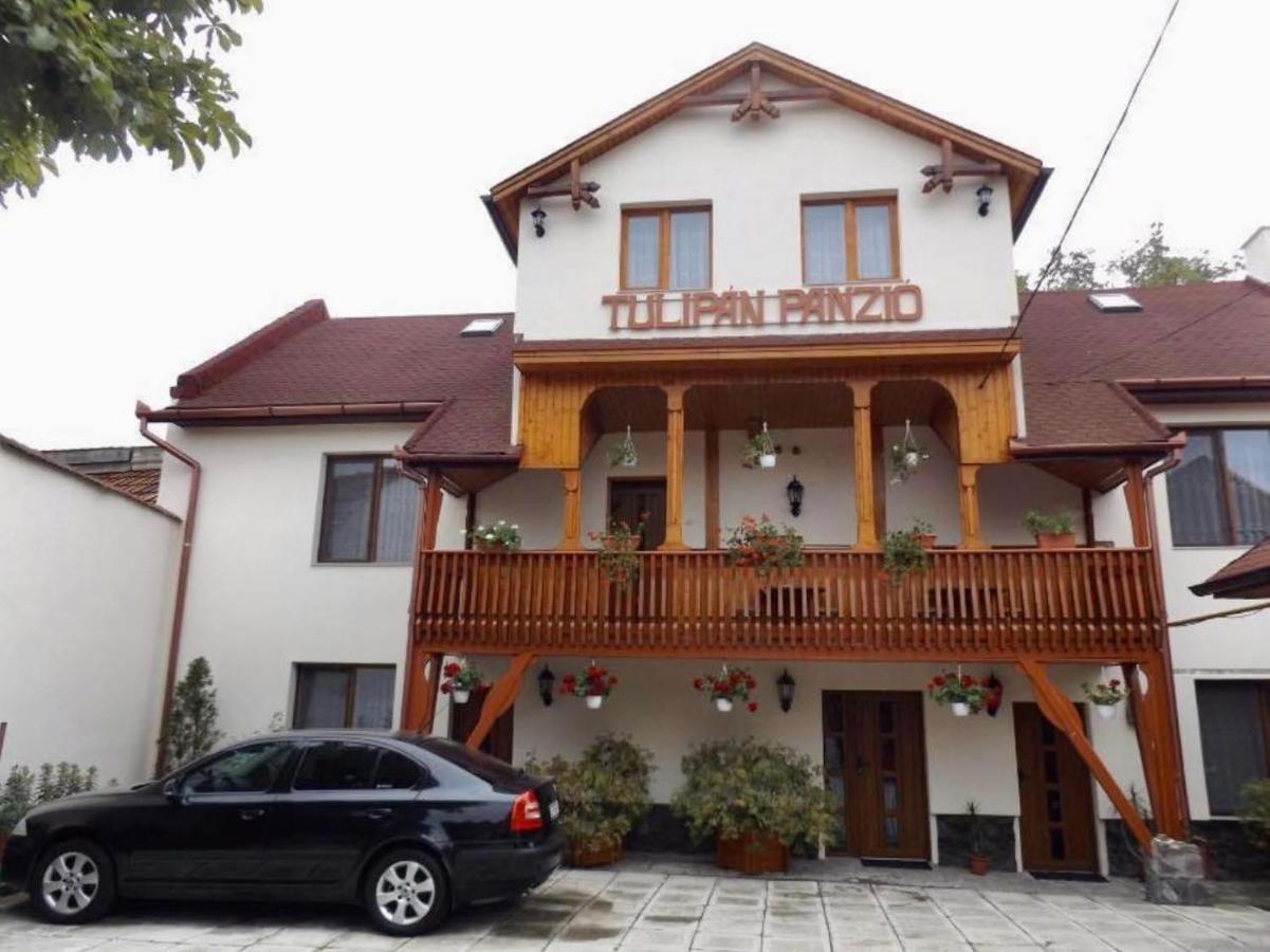 Bed and Breakfast Tulipan Panzio Сфынту-Георге Экстерьер фото