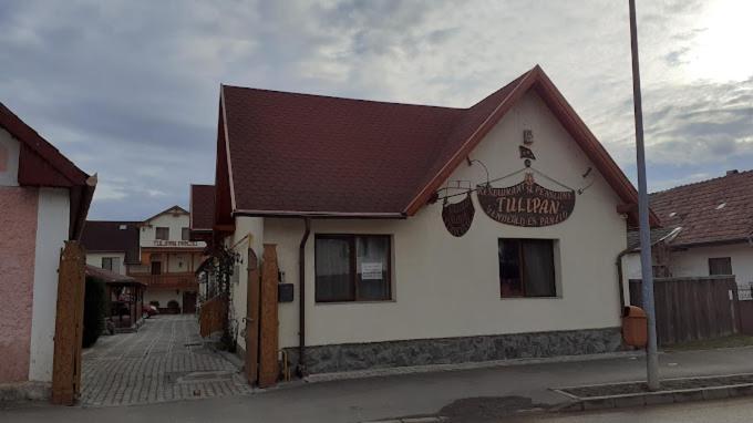 Bed and Breakfast Tulipan Panzio Сфынту-Георге Экстерьер фото