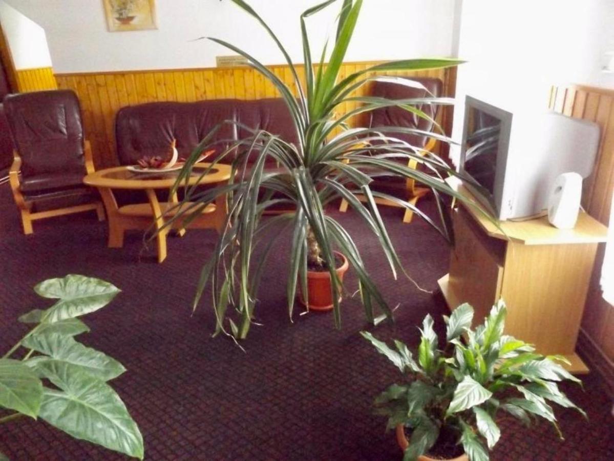Bed and Breakfast Tulipan Panzio Сфынту-Георге Экстерьер фото